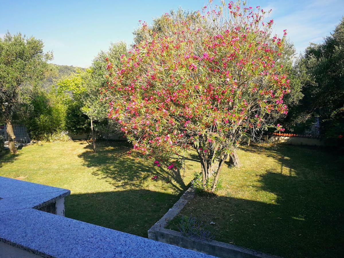 Family Friendly Apartments Island Rab Kampor Extérieur photo