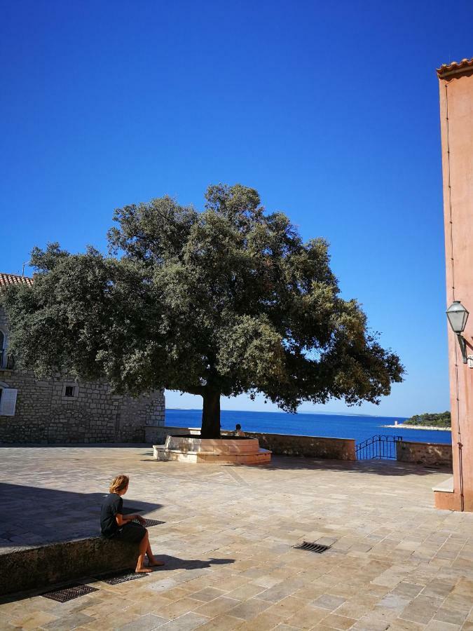 Family Friendly Apartments Island Rab Kampor Extérieur photo